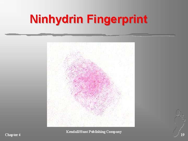Ninhydrin Fingerprint Chapter 4 Kendall/Hunt Publishing Company 19 