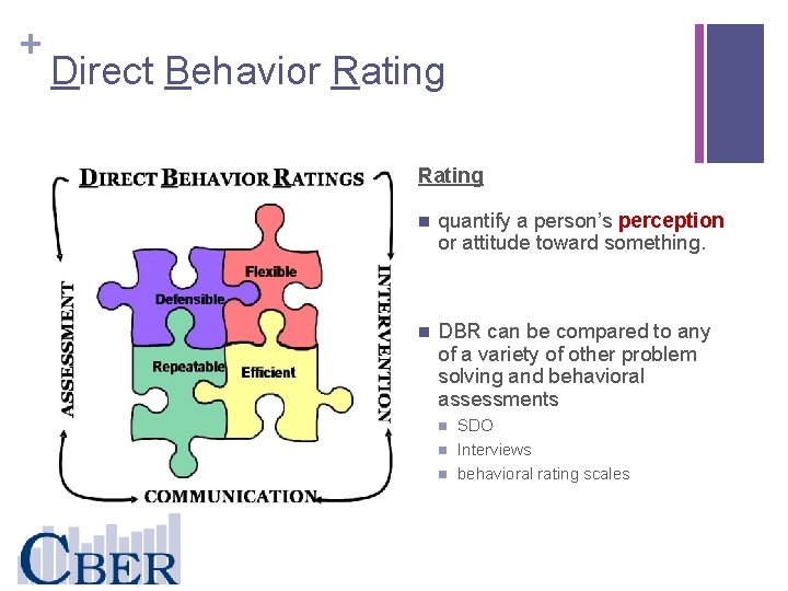 + Direct Behavior Rating n quantify a person’s perception or attitude toward something. n