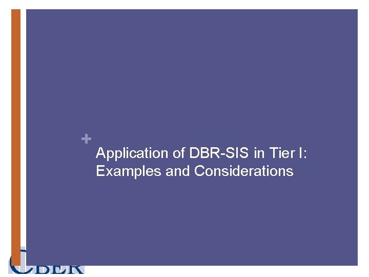 + Application of DBR-SIS in Tier I: Examples and Considerations 