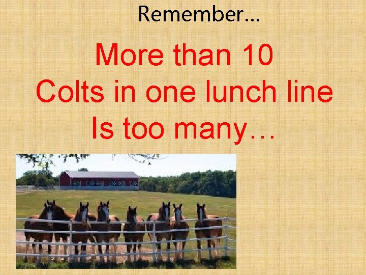 Remember… More than 10 Colts in one lunch line Is too many… 