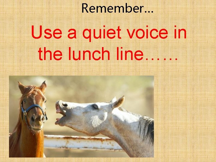 Remember… Use a quiet voice in the lunch line…… 