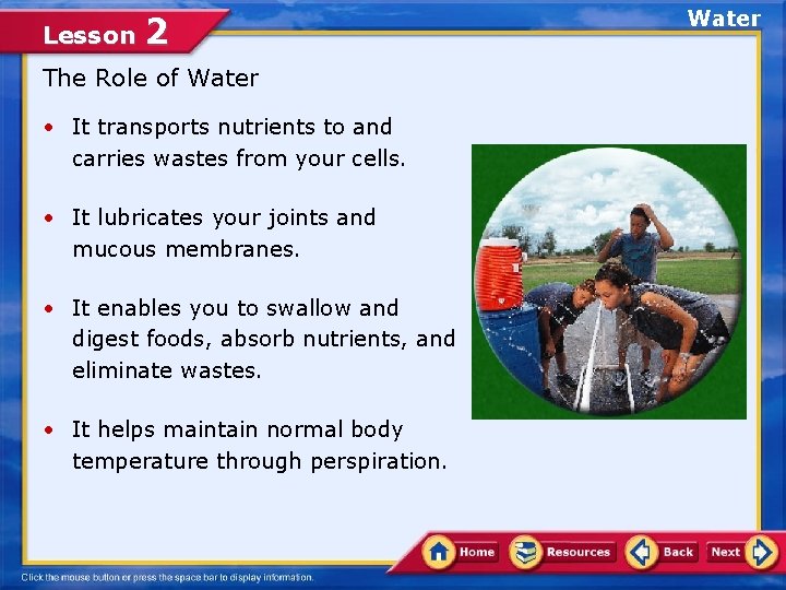 Lesson 2 The Role of Water • It transports nutrients to and carries wastes