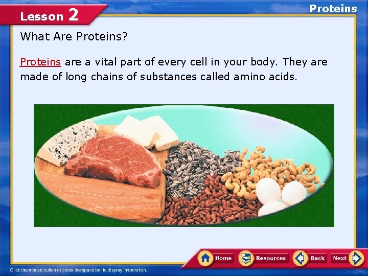 Lesson 2 Proteins What Are Proteins? Proteins are a vital part of every cell