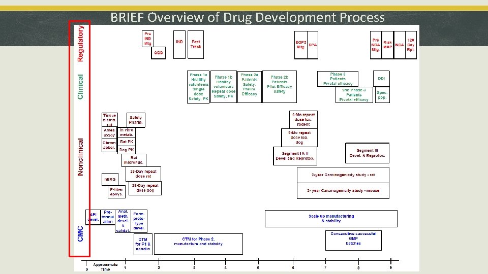  BRIEF Overview of Drug Development Process 