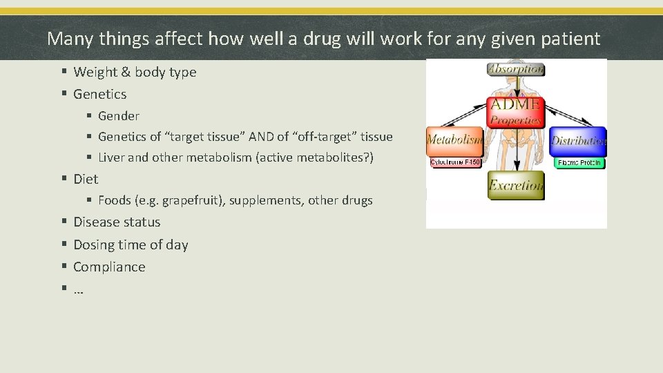 Many things affect how well a drug will work for any given patient §