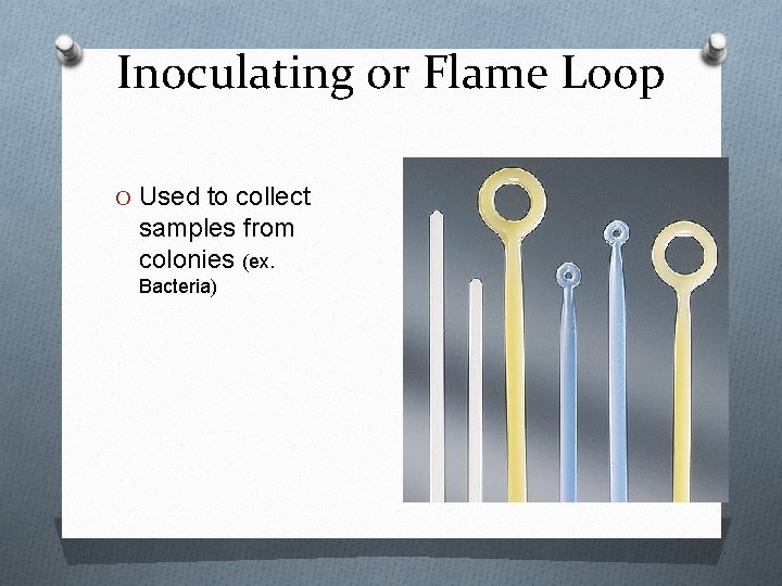 Inoculating or Flame Loop O Used to collect samples from colonies (ex. Bacteria) 