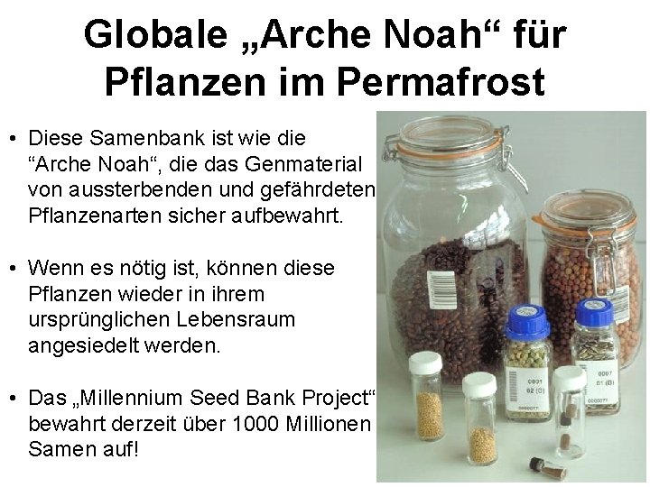 Globale „Arche Noah“ für Pflanzen im Permafrost • Diese Samenbank ist wie die “Arche