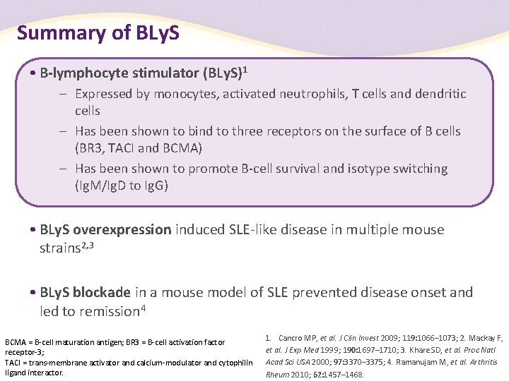 Summary of BLy. S • B-lymphocyte stimulator (BLy. S)1 – Expressed by monocytes, activated