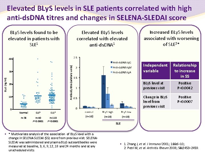 Elevated BLy. S levels in SLE patients correlated with high anti-ds. DNA titres and