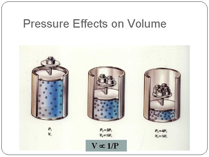 Pressure Effects on Volume V 1/P 