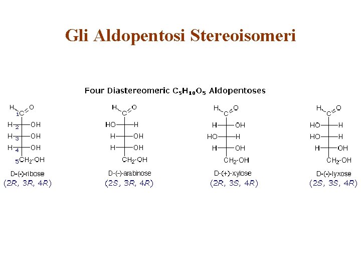 Gli Aldopentosi Stereoisomeri 