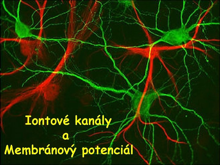 Iontové kanály a Membránový potenciál 