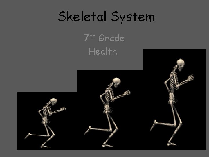 Skeletal System 7 th Grade Health 