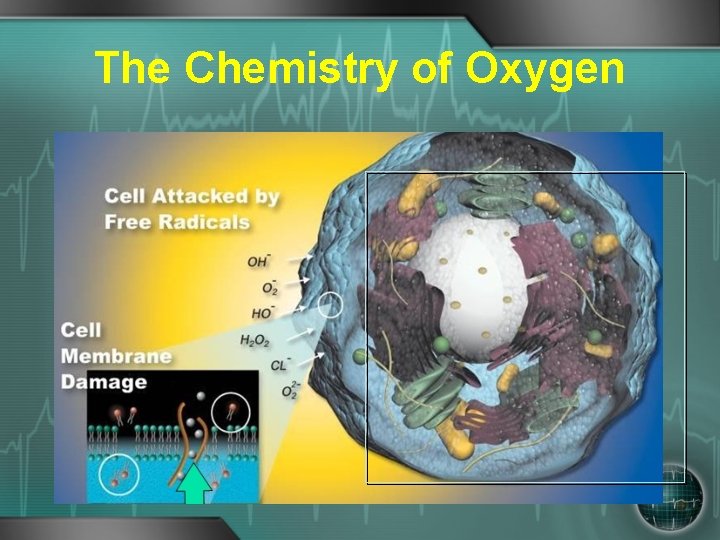 The Chemistry of Oxygen 