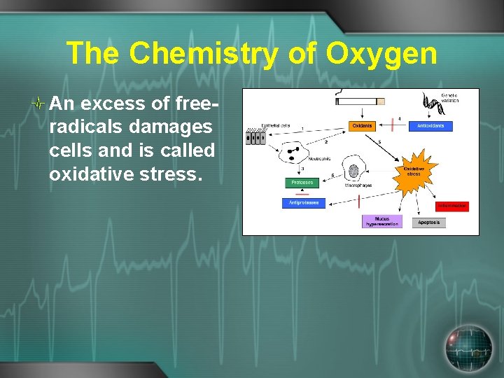 The Chemistry of Oxygen An excess of freeradicals damages cells and is called oxidative