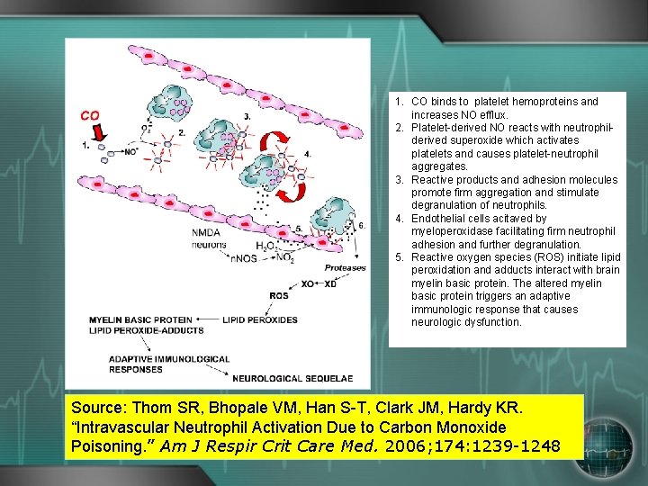 1. CO binds to platelet hemoproteins and increases NO efflux. 2. Platelet-derived NO reacts