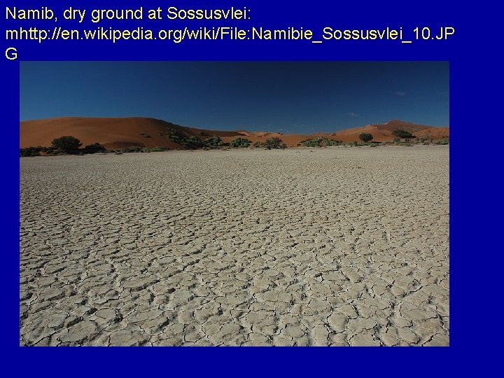 Namib, dry ground at Sossusvlei: mhttp: //en. wikipedia. org/wiki/File: Namibie_Sossusvlei_10. JP G 