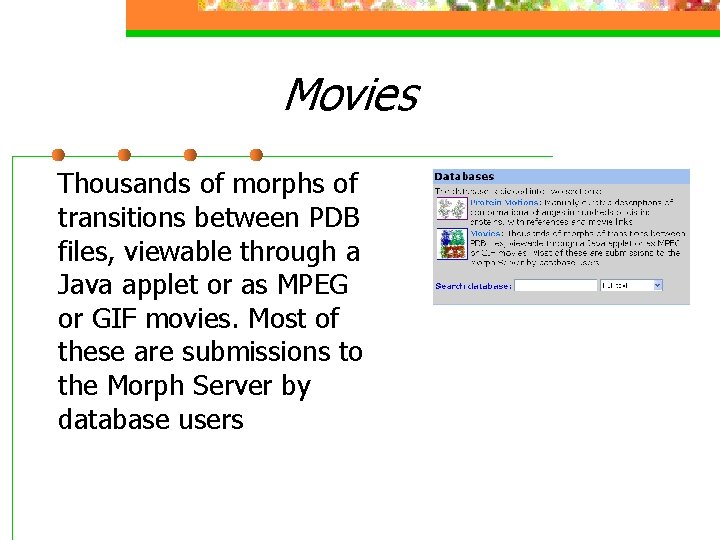 Movies Thousands of morphs of transitions between PDB files, viewable through a Java applet