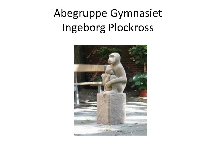 Abegruppe Gymnasiet Ingeborg Plockross 