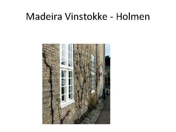 Madeira Vinstokke - Holmen 