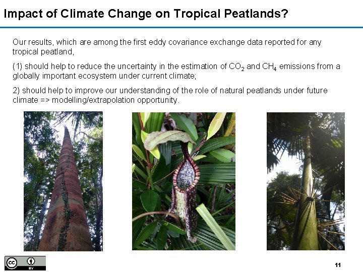 Impact of Climate Change on Tropical Peatlands? Our results, which are among the first
