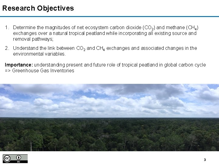 Research Objectives 1. Determine the magnitudes of net ecosystem carbon dioxide (CO 2) and