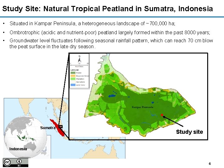 Study Site: Natural Tropical Peatland in Sumatra, Indonesia • Situated in Kampar Peninsula, a