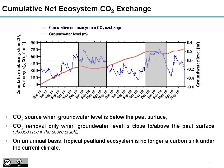Cumulative Net Ecosystem CO 2 Exchange Cumulative net ecosystem CO 2 exchange (g CO