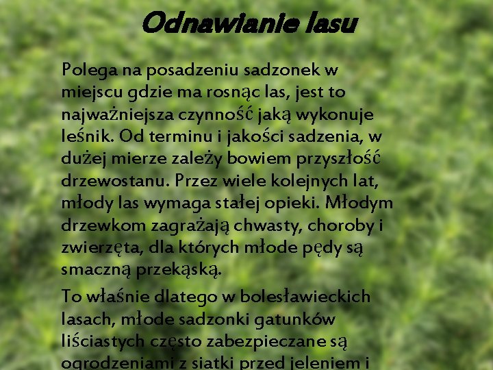 Odnawianie lasu Polega na posadzeniu sadzonek w miejscu gdzie ma rosnąc las, jest to