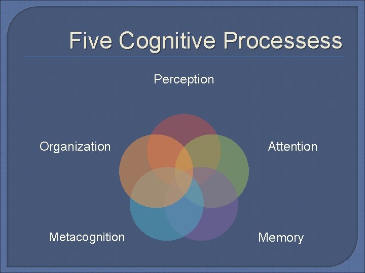 Five Cognitive Processess Perception Organization Metacognition Attention Memory Five Cognitive Processess Perception Organization Metacognition Attention Memory