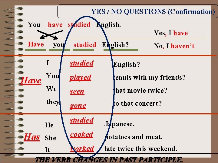 YES / NO QUESTIONS (Confirmation) You have studied English. Yes, I have Have you