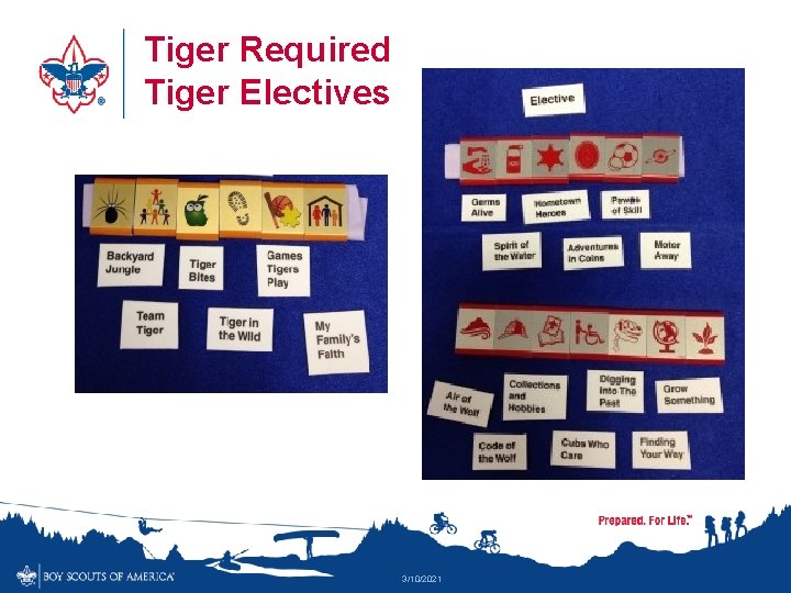 Tiger Required Tiger Electives 3/10/2021 