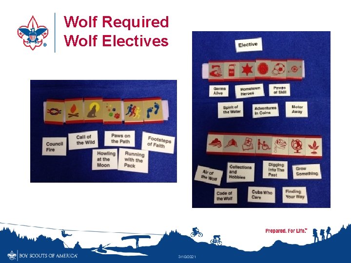 Wolf Required Wolf Electives 3/10/2021 
