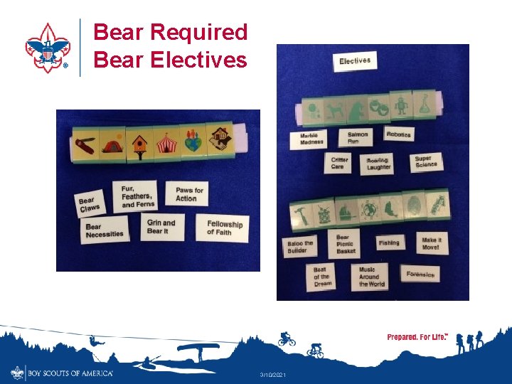 Bear Required Bear Electives 3/10/2021 