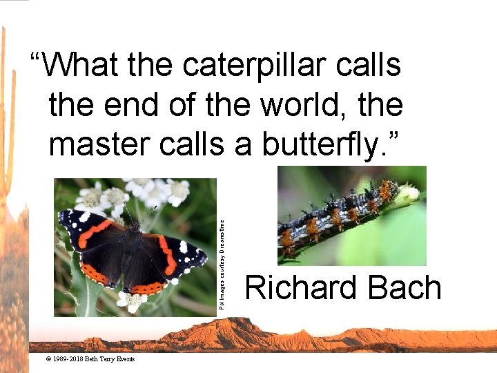 Pd Images courtesy Dreamstime “What the caterpillar calls the end of the world, the