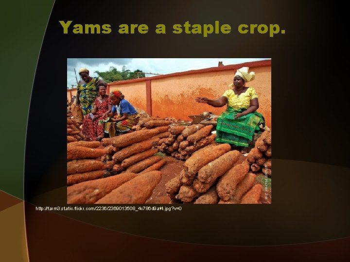 Yams are a staple crop. http: //farm 3. static. flickr. com/2236/2369013508_4 c 786 d