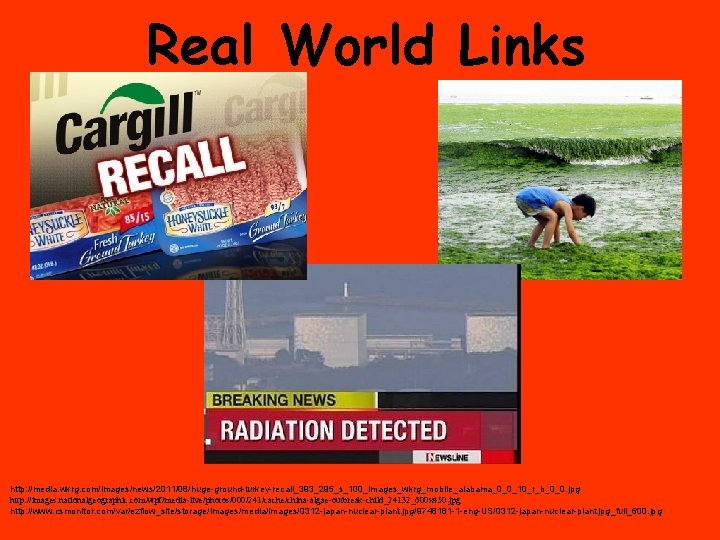 Real World Links http: //media. wkrg. com/images/news/2011/08/huge-ground-turkey-recall_393_295_s_100_images_wkrg_mobile_alabama_0_0_10_r_b_0_0. jpg http: //images. nationalgeographic. com/wpf/media-live/photos/000/241/cache/china-algae-outbreak-child_24132_600 x 450.