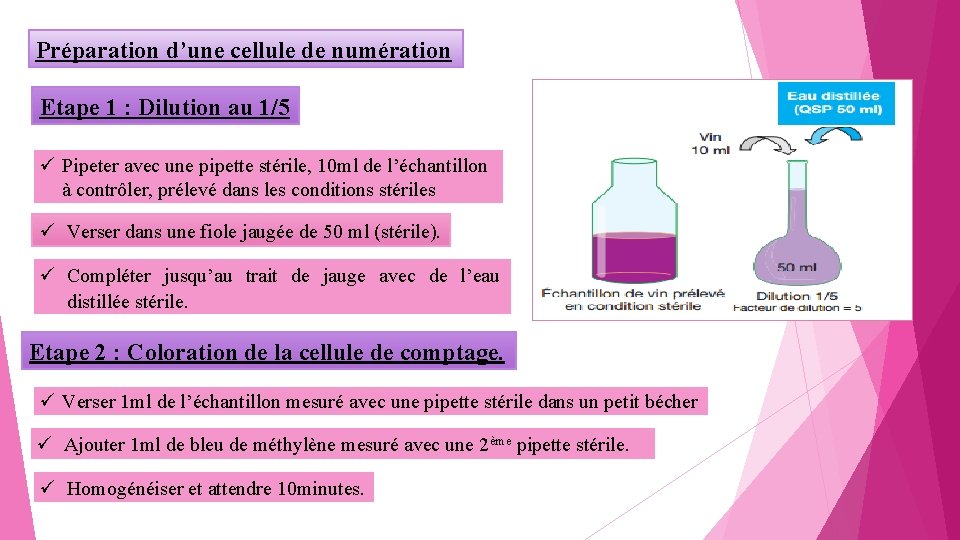 Préparation d’une cellule de numération Etape 1 : Dilution au 1/5 Pipeter avec une