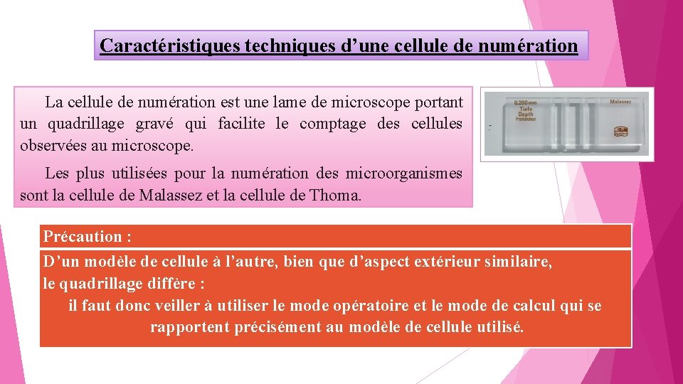 Caractéristiques techniques d’une cellule de numération La cellule de numération est une lame de