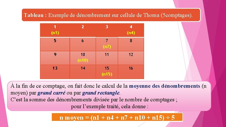 Tableau : Exemple de dénombrement sur cellule de Thoma (5 comptages). 1 (n 1)