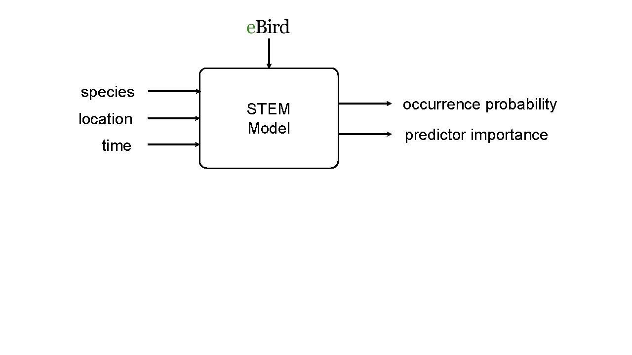 species location time STEM Model occurrence probability predictor importance 