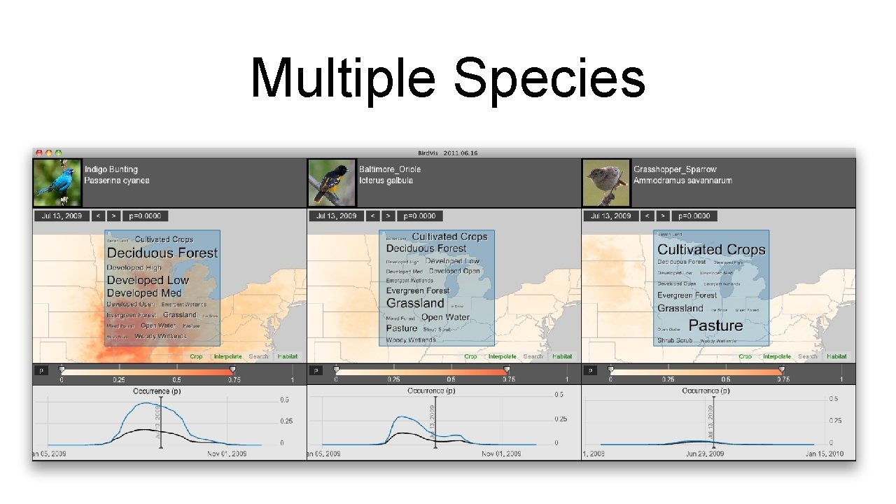 Multiple Species 