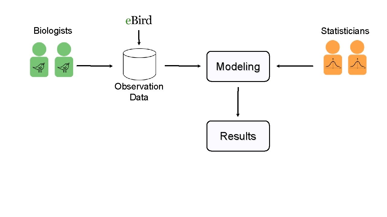 Biologists Statisticians Modeling Observation Data Results 