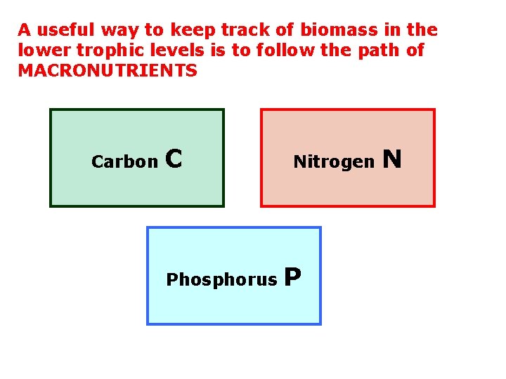 A useful way to keep track of biomass in the lower trophic levels is