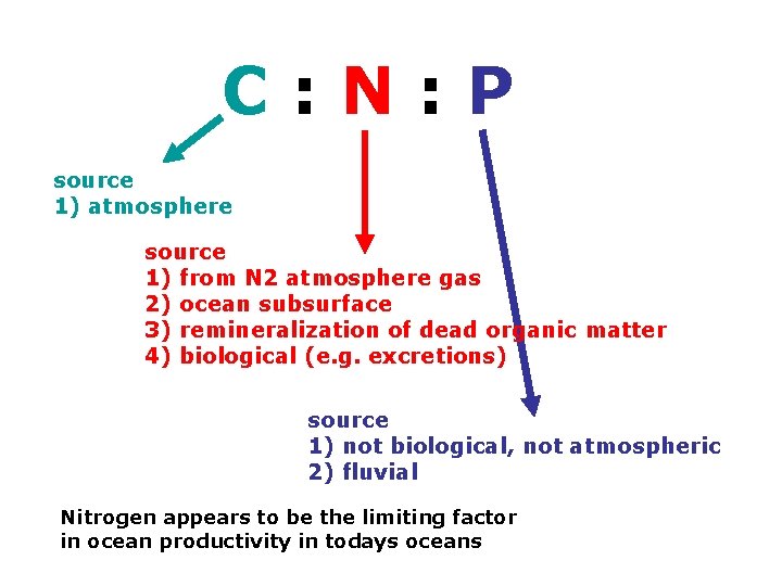 C: N: P source 1) atmosphere source 1) from N 2 atmosphere gas 2)