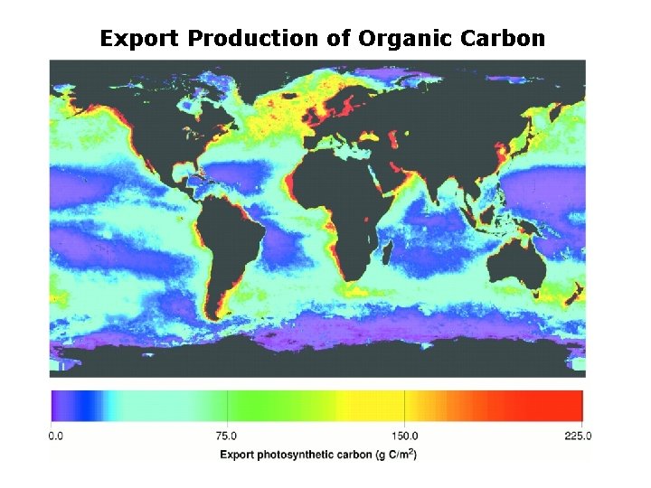 Export Production of Organic Carbon 