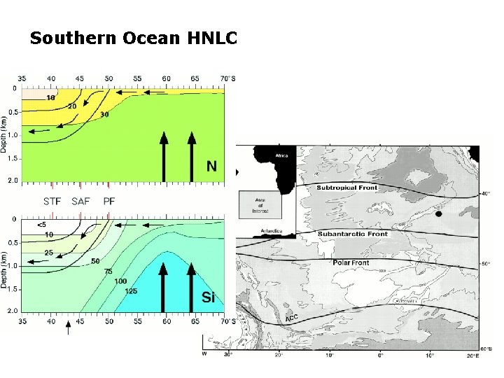 Southern Ocean HNLC 