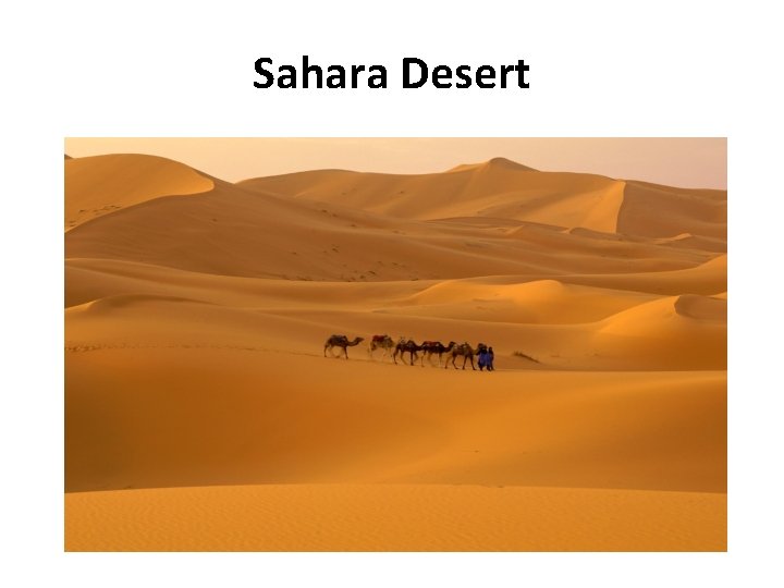 Sahara Desert 