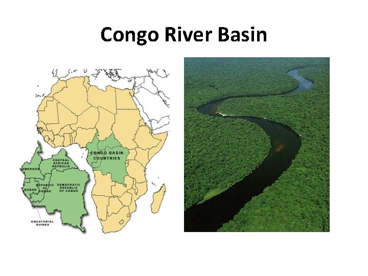 Congo River Basin 