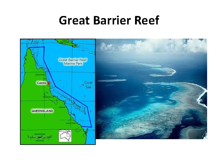 Great Barrier Reef 